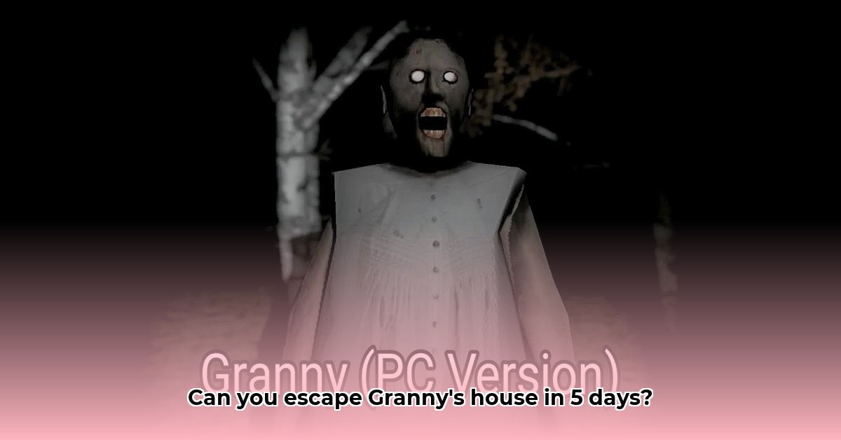 granny-full-game